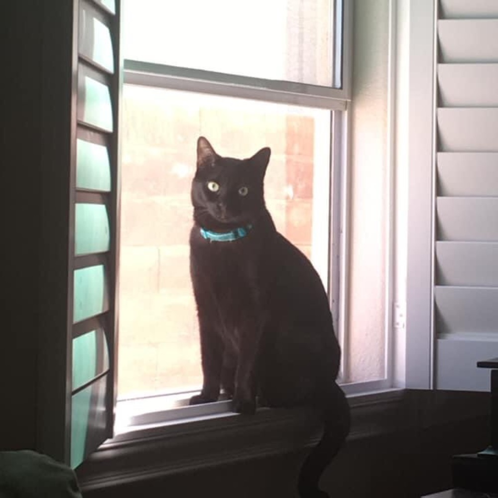 Meet your Posher, Aspen